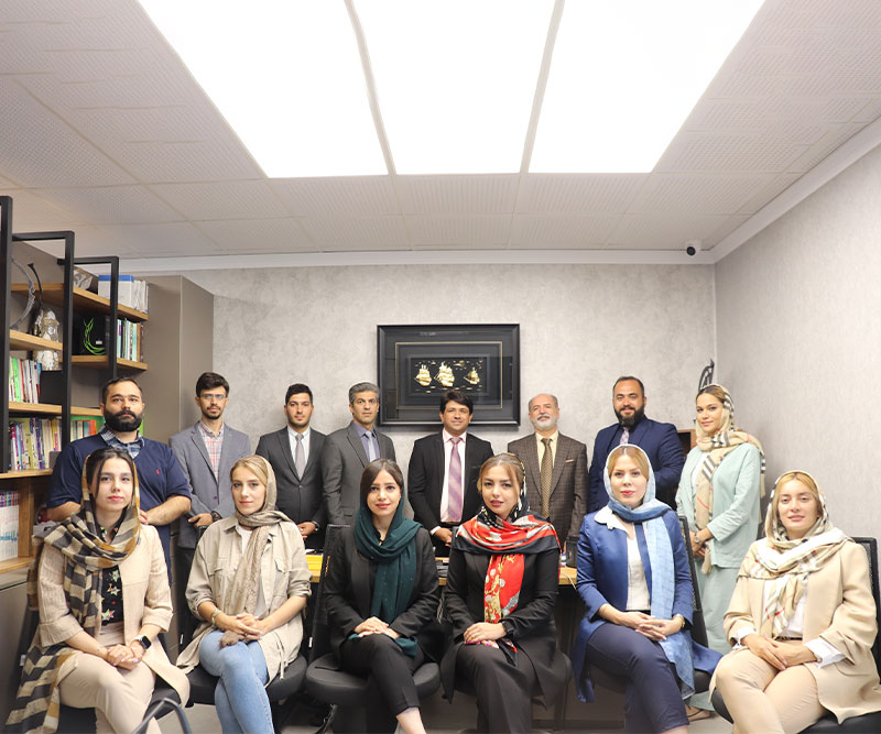 Dorsa teb group