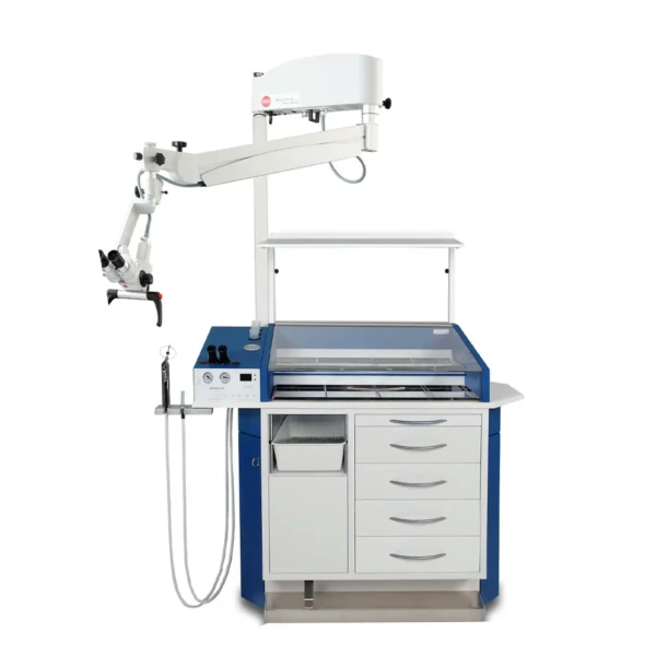 Heinemann MODULA Europa